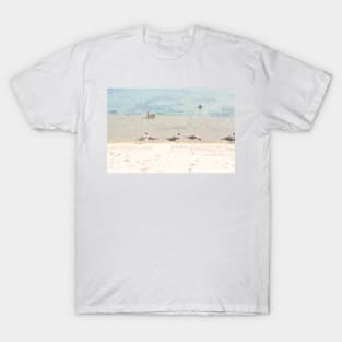 Care Free Grey Gull T-Shirt